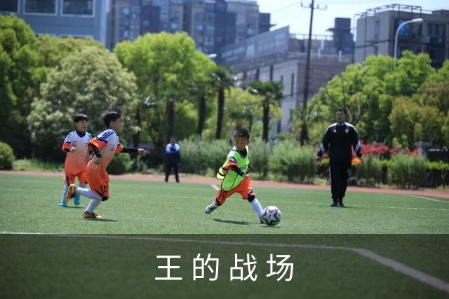 王 的 战 场