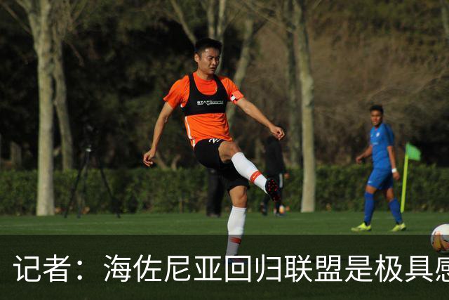 记者：海佐尼亚回归联盟是极具感染力的故事 证明扩军的必要性